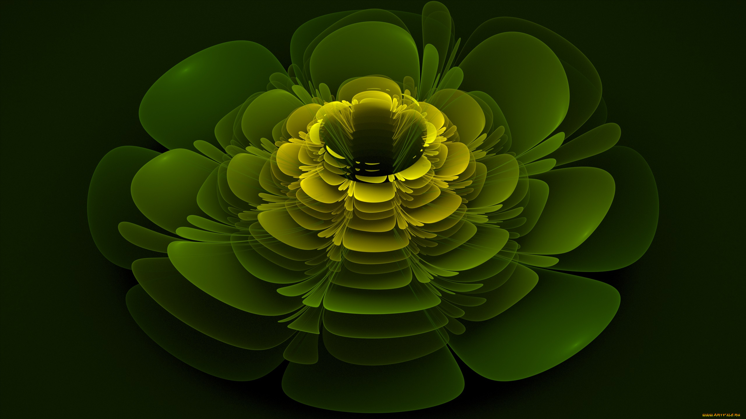 3 ,  , flowers, , , 